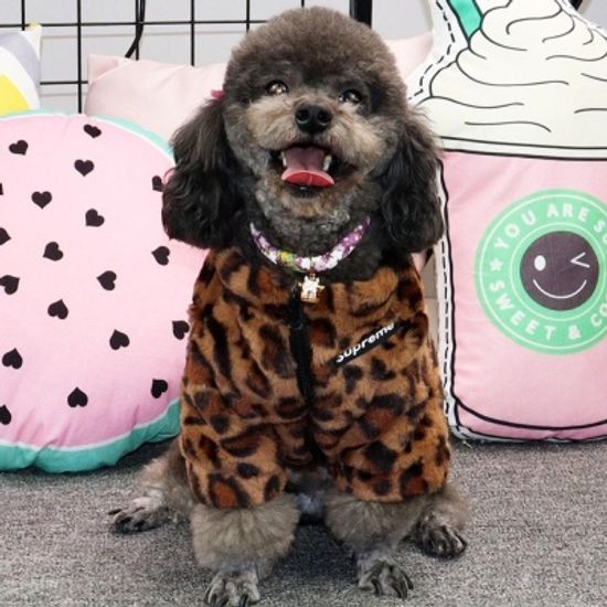 반려동물 강아지 고양이 호피 무늬 점퍼 후리스 인싸옷