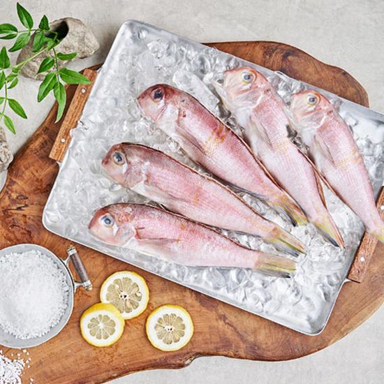 [올레마켓] 청정제주 통옥돔 160gx5팩/3마리