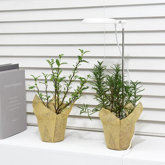 노바리빙 LED 식물등 다육이