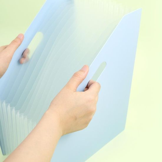 핑크풋 아코디언인덱스화일