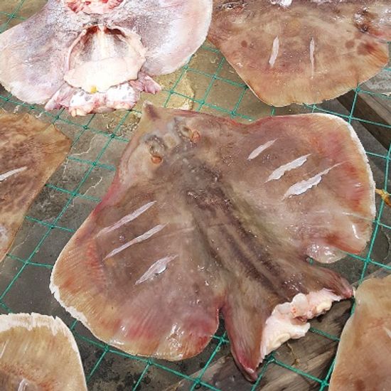 [가락마켓]자연산 반건조 간재미 1kg (4-6미)
