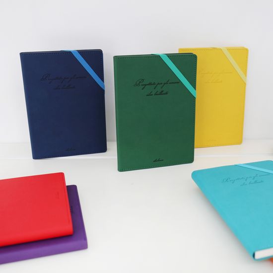 비팬시 마이데이 하드커버 카드포켓 만년 다이어리 A5