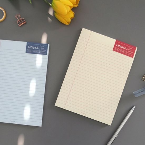 라이프패드 Lifepad-A5
