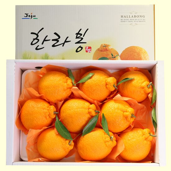 [제주직송]단맛이 꽉찬 달콤한 한라봉(6-8과)3kg