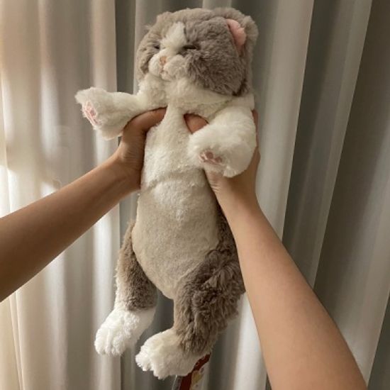무릎인형★잠자는 쓰야쓰야 고양이