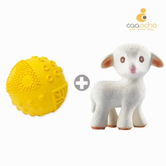 2종SET (치발기+감각볼)