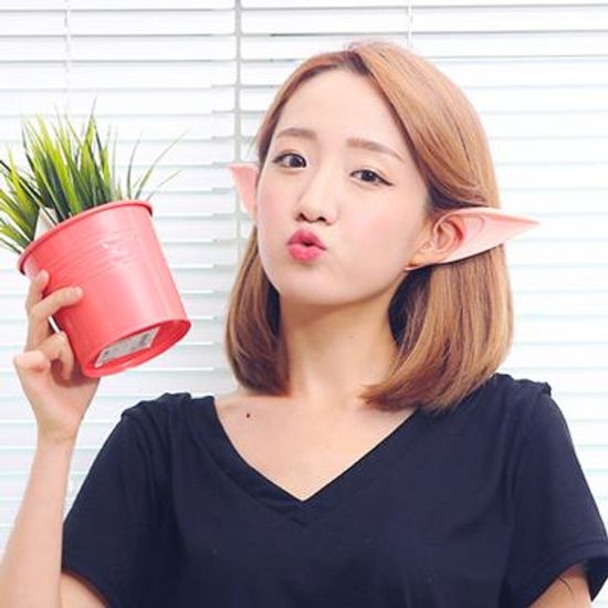 신형 엘프귀