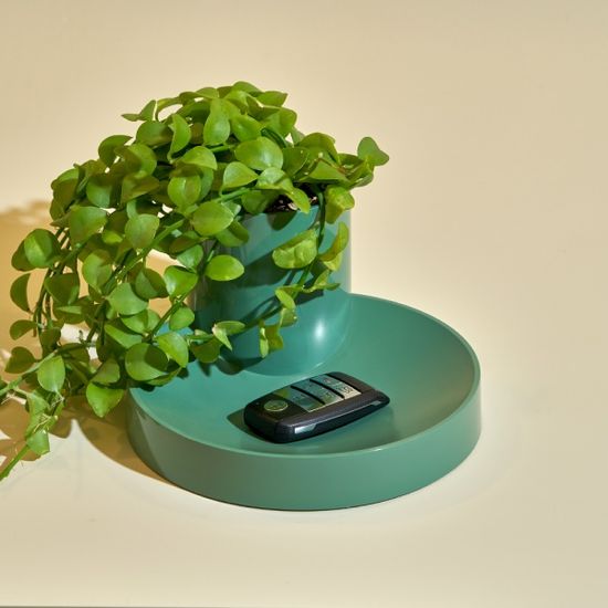 에이플럼 도트 트레이 수납 바구니 멀티 정리함