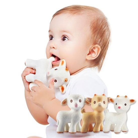 2종SET (치발기1종+목욕놀이1종)_디자인선택