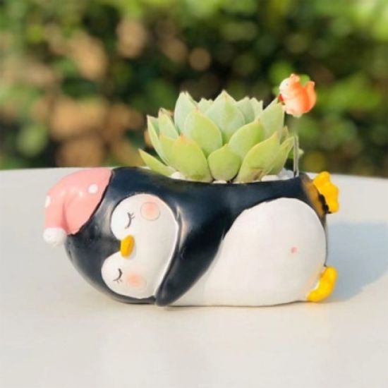 ROOGO 루고 다육이 화분 행복한 동물일기 펭귄