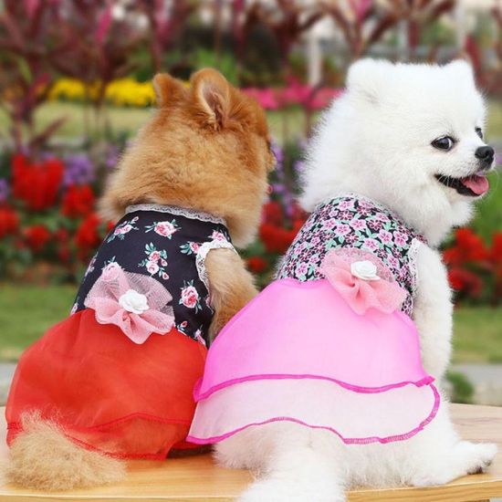 설날 추석 명절 강아지 고양이 애견한복 귀여운 한복