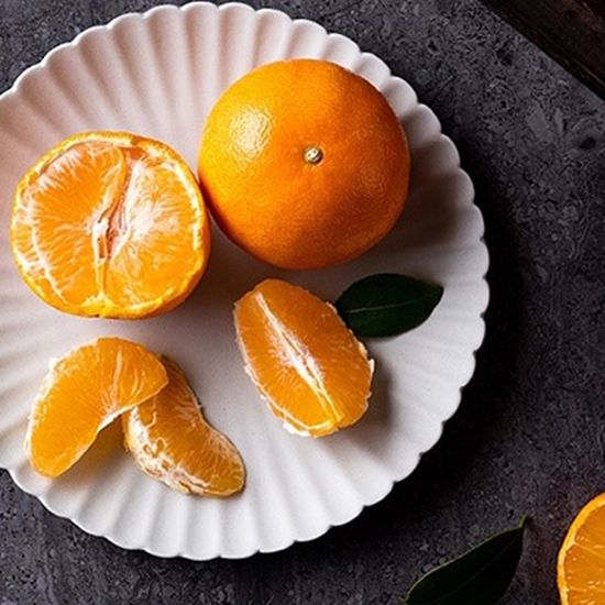 프리미엄 제주 천혜향 과일 선물 대용량 가정용 2kg