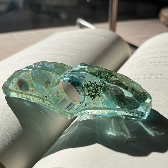 [무료배송] 고래꼬리 독서링 - 반짝이는 모래해변 