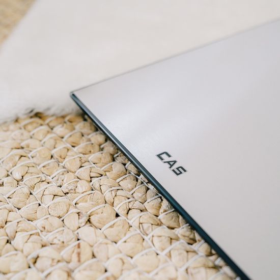 [CAS] 가정용 디지털 체중계 스텐레스 HE-66