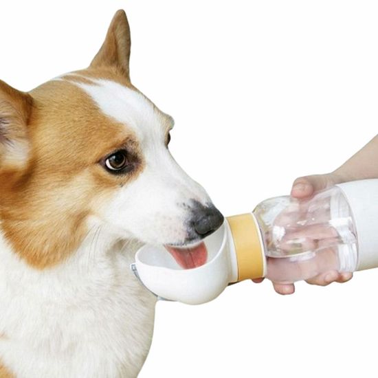 강아지산책물병 애견 물통 간식물통(WEE932E)