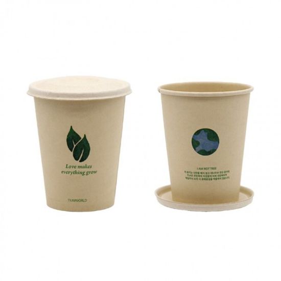 에코컵 식물 키우기 가든 교구 재료