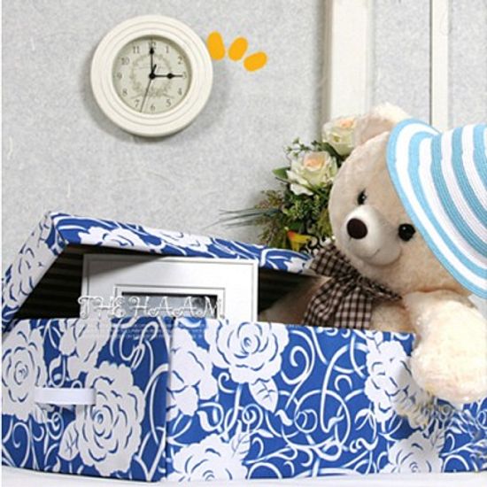 블루로즈 뚜껑식 정리함 2P