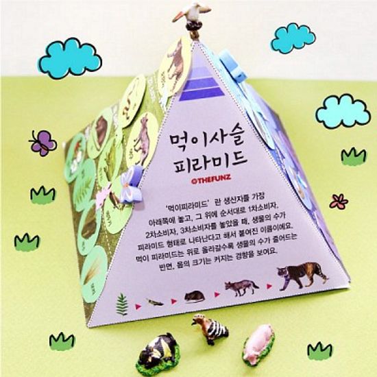 먹이사슬 피라미드