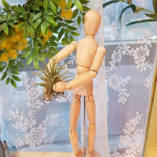 관절인형과 이오난사 세트