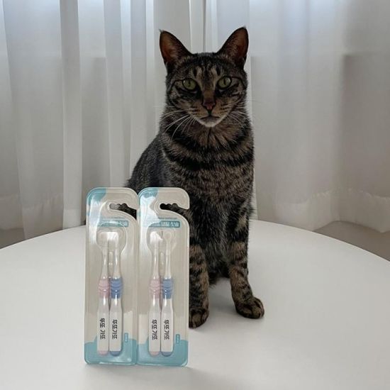 초극세모 덴탈 칫솔 구강관리 클린칫솔