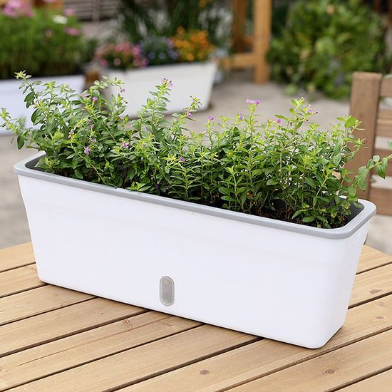 미니정원 자동급수 화분 다육 WC1B318