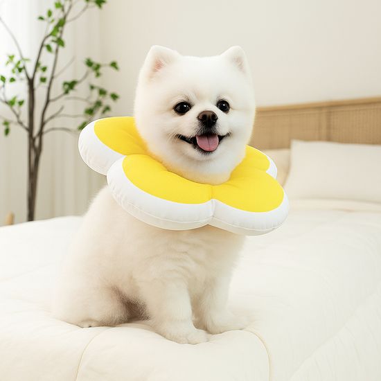 레토 강아지 고양이 넥카라 플라워 방수 LNC-F02