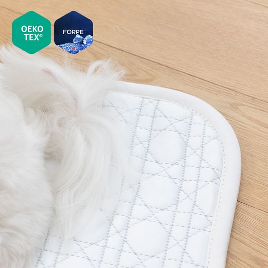 알래스카 아이스 포르페 국산 애견 냉감 방석