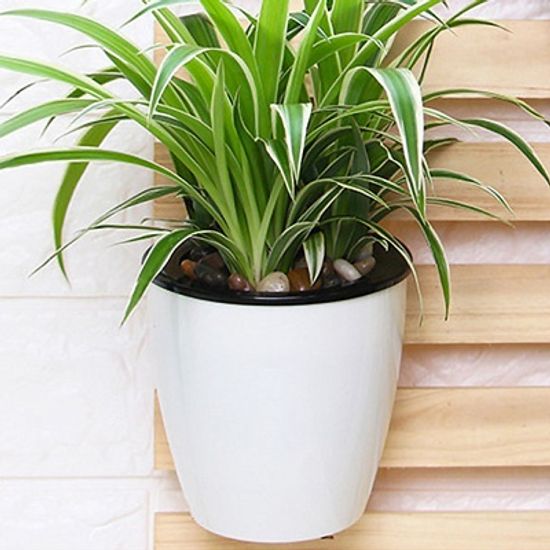 실내정원 자동급수 벽걸이 화분 / 저면관수 원형화분