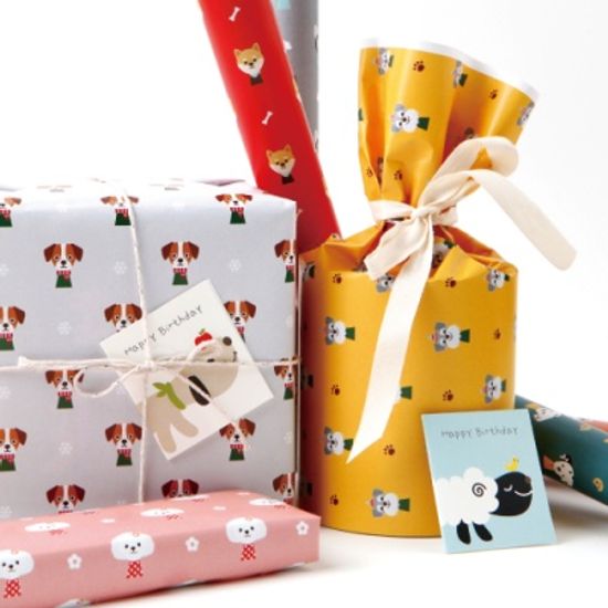 [기성]포장지댕댕이