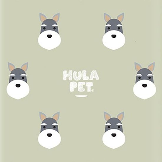 HULA PET PATTERN CASE (Schnauzer) / 아이폰 케이스