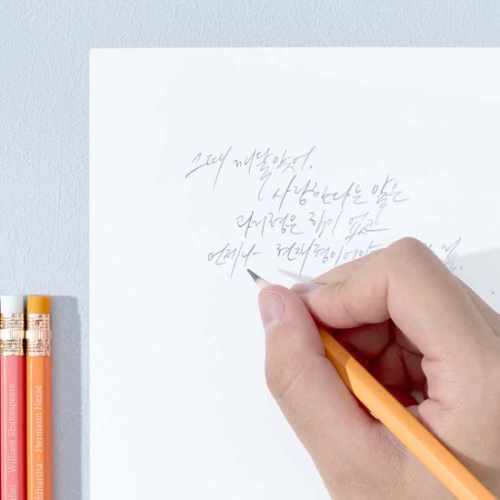 문학 팔레트 연필 36종