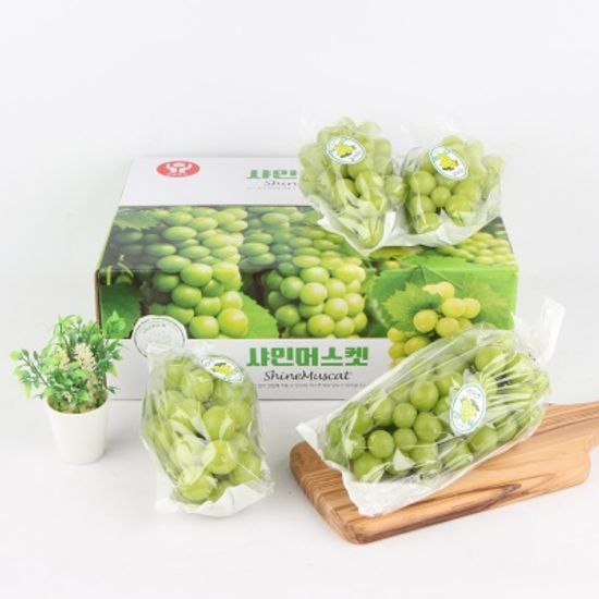 달코미 프리미엄 샤인머스켓 선물세트 1.6kg  (2수)