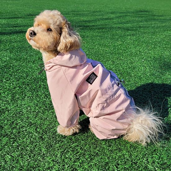 레토 올인원 강아지 우비 바람막이 (2 COLOR) LDR-A01