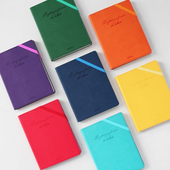 비팬시 마이데이 하드커버 카드포켓 만년 다이어리 A5