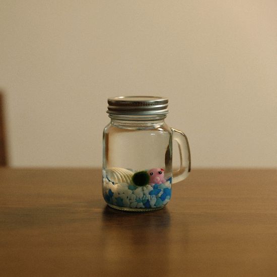 손잡이어항 (소) 마리모 키우기세트