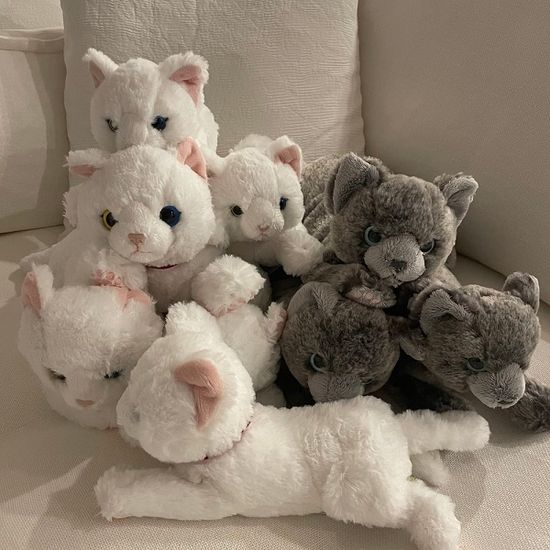 무릎인형★고양이(오드아이/러시안블루)(히자네꼬)