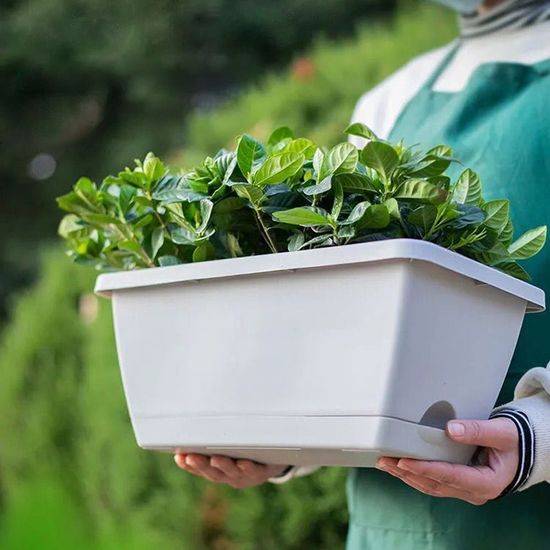 직사각형 텃밭 화분 사각 큰 직사각 대형 그레이 H122