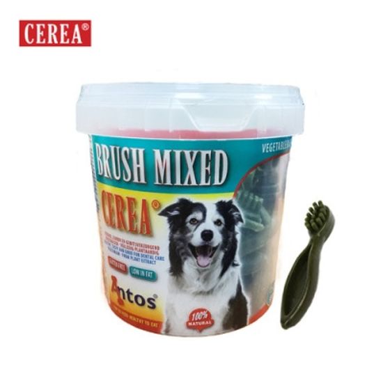 세레아 덴탈츄 브러쉬 S 대용량 (50p)