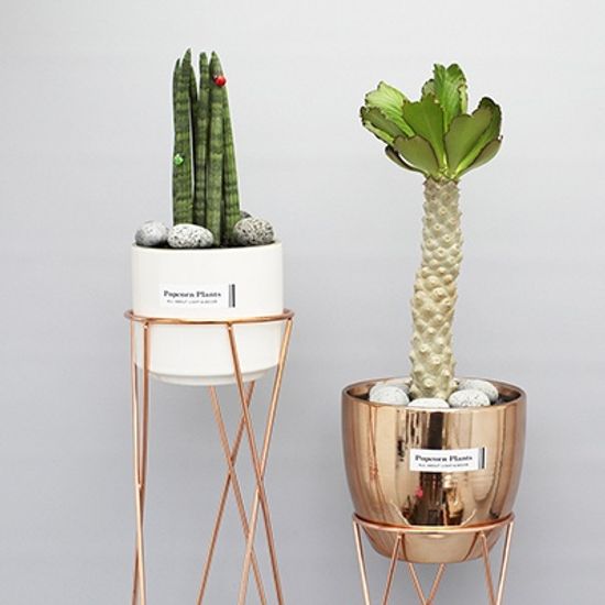 샤이니 화분 스탠드(L)-14.5(지름) x 40cm