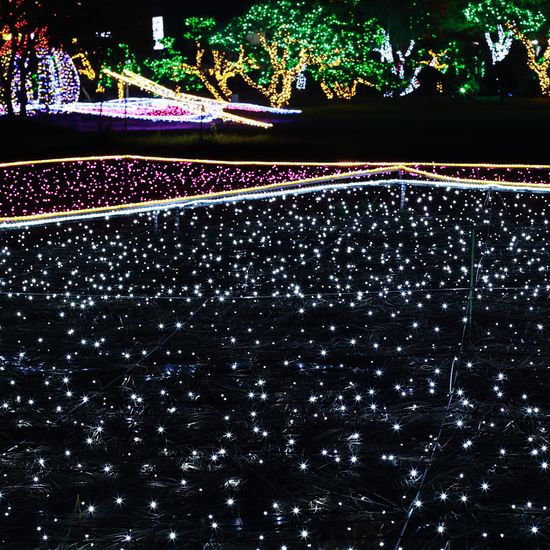 [도토로]은하수 300구 녹색선 LED 백색 지니전구(30M)