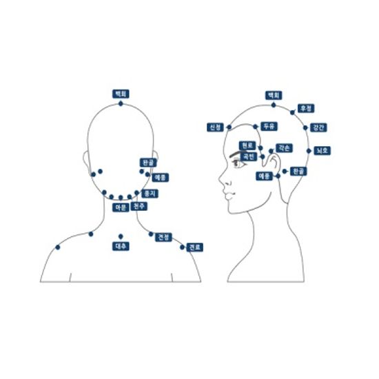 에디쁘 쁘띠 선물세트 왕관괄사빗 두피마사지기