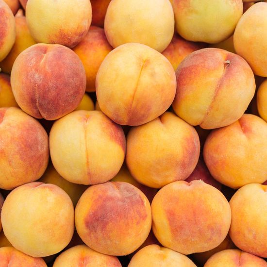 [자연예서] 황도 복숭아 2.5kg (14과) (특상)
