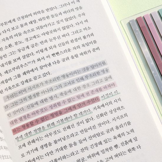 비온뒤 롱인덱스 이지컷