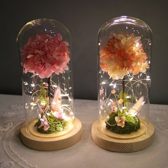 프리저브드 수국 유리돔-( 3 color ) 기념일선물