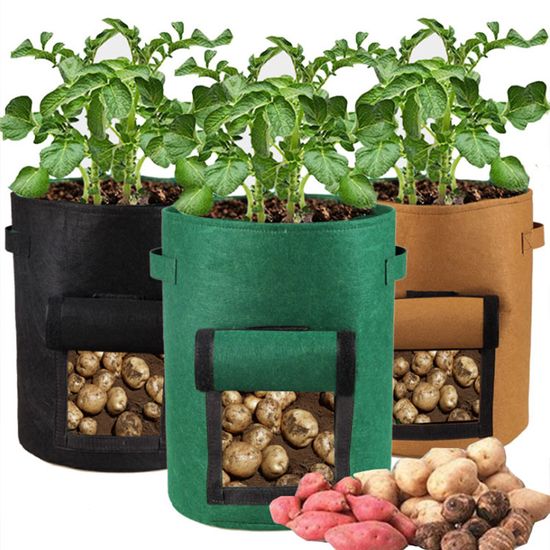 뿌리 식물 고구마 감자 수경 새싹 채소 재배기 화분