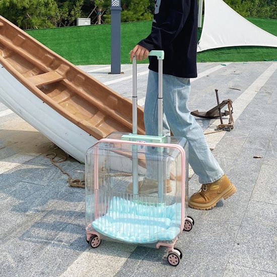 애견용품 마이펫 투명 캐리어 이동가방05