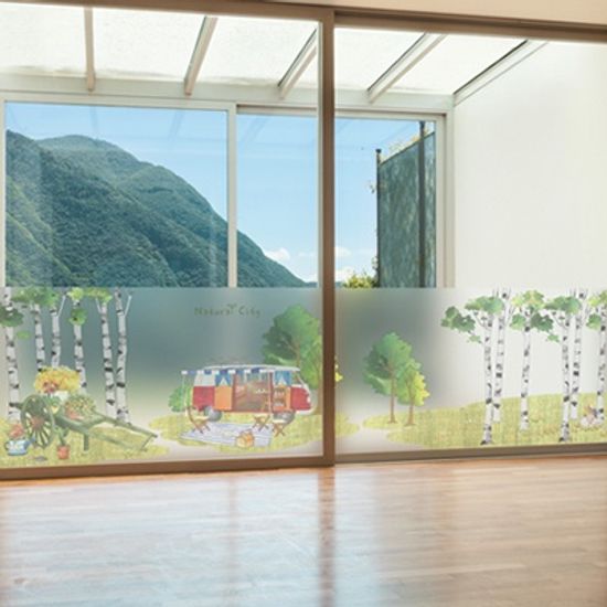 dgho097-자작나무숲 피크닉-반투명시트지