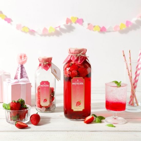 묘약 담금주키트 500 - 6종 중 택1