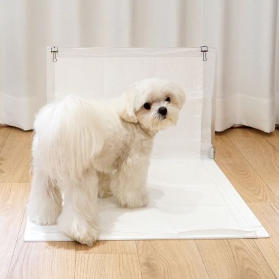 피터펫 강아지 배변판 화장실 대형