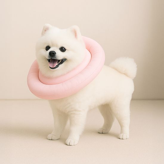 레토 초경량 방수 강아지 고양이 넥카라 LNC-C01